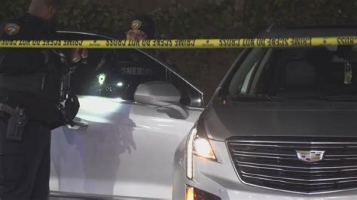 Insights Into The Interstate 15 Shooting