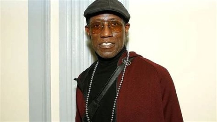 A Closer Look At Wesley Snipes Sexuality And Love Life correo ·
