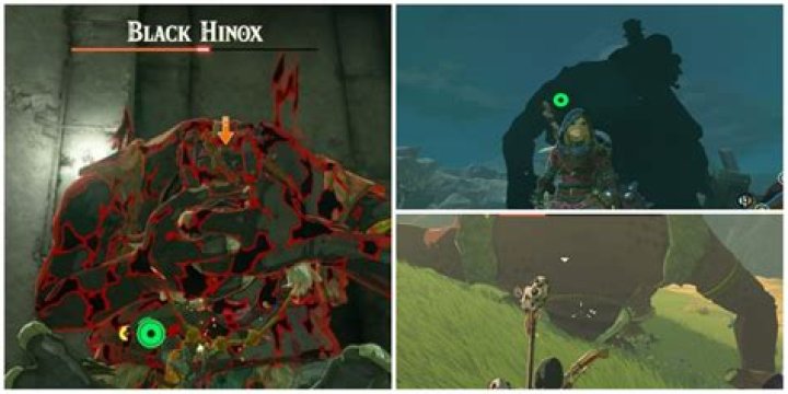 Locate Every Hinox In The Legend Of Zelda: Tears Of The Kingdom