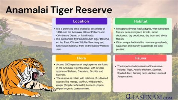 Anamalai Wife: The Heart Behind The Legacy