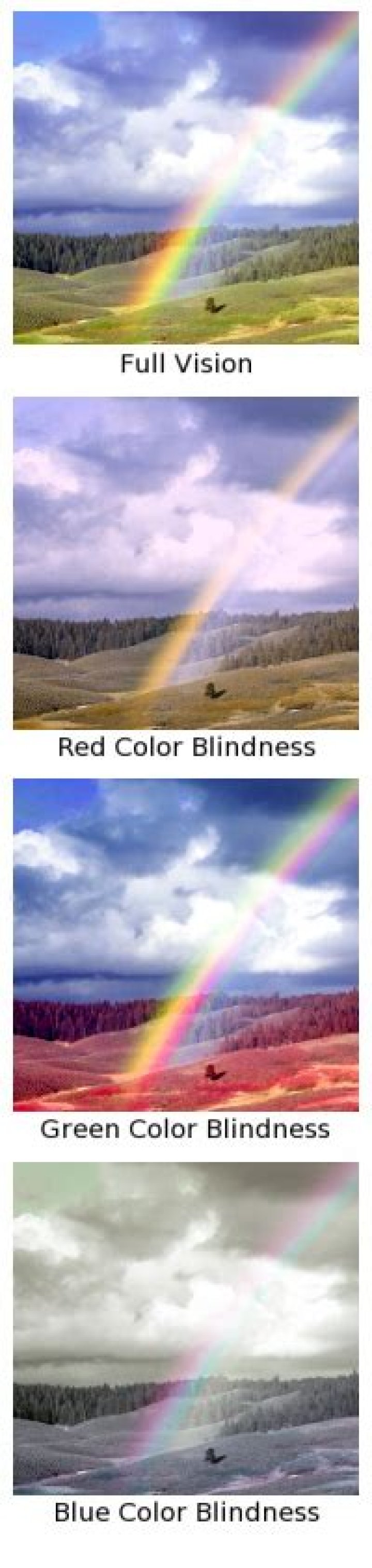 Are there colors humans can't see?
