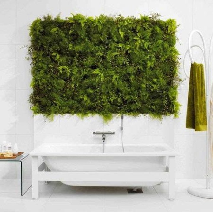 The Ultimate Guide To Creating A Thriving Bathroom Living Wall