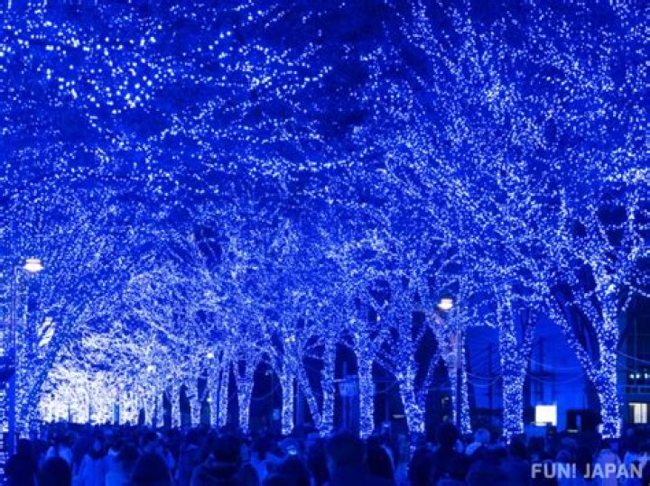 Uncover The Enchanting Blue Cave Shibuya: A Hidden Gem You Don't Want To Miss