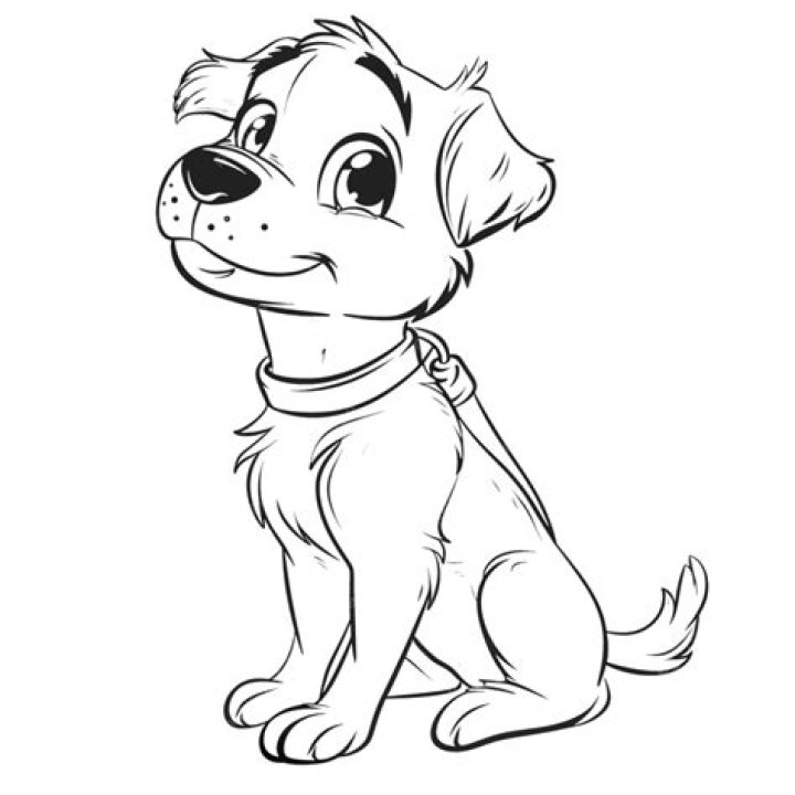 Explore Cartoons Like Never Before: Comprehensive Guide To Sniffing