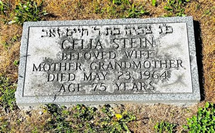 The Ultimate Guide To Celia Stein: Tips, Techniques, And More