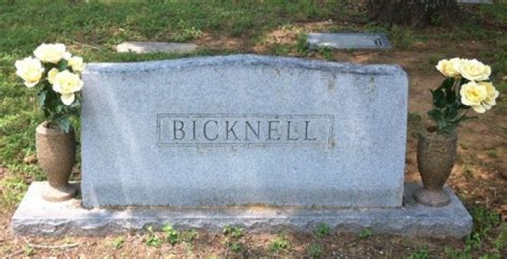 All you need to know about Myrtle Corbin Son ·