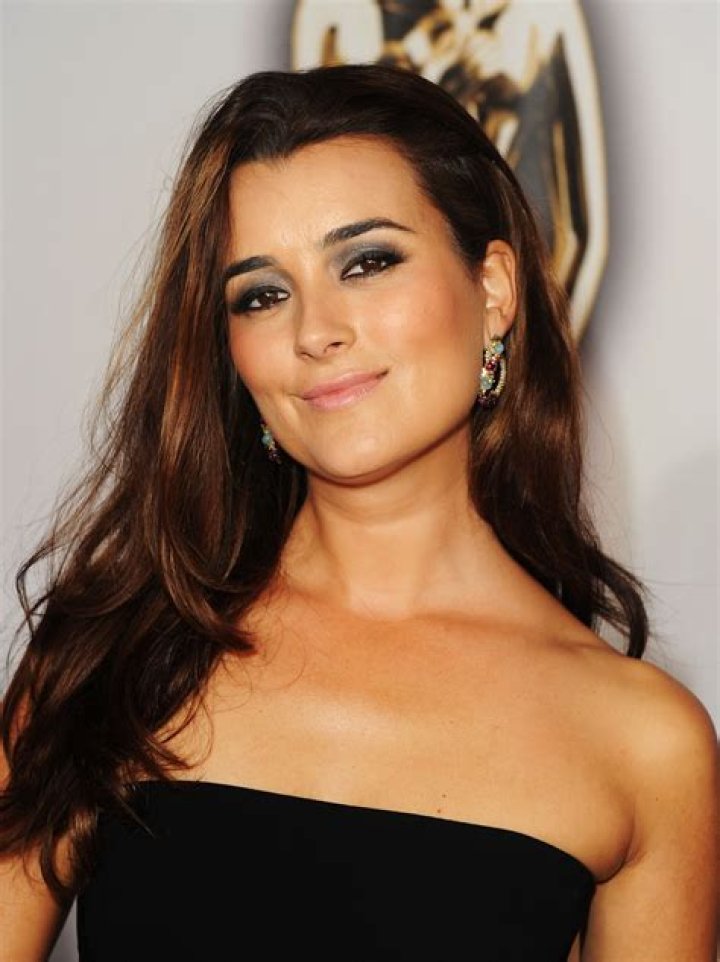 Cote De Pablo: A Multifaceted Star In Entertainment