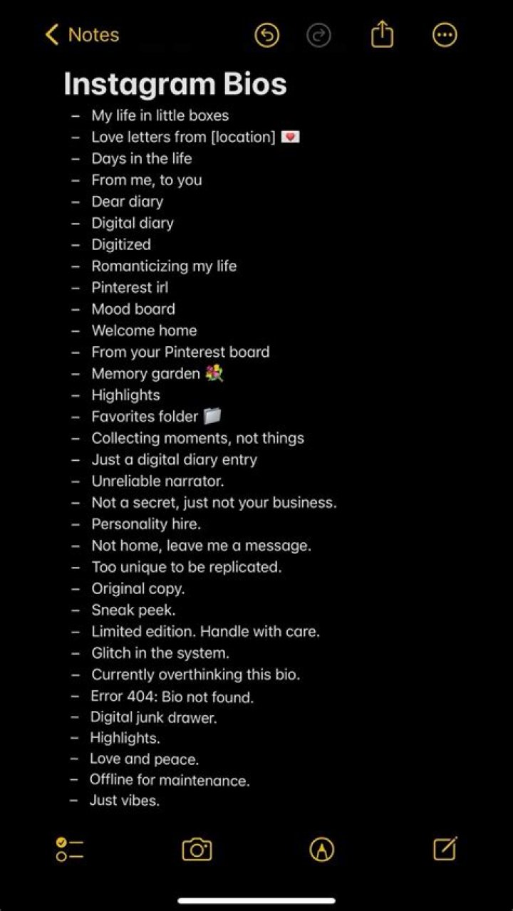 The Essential Digital Diary Instagram Bio: Unlock Your Creative Potential