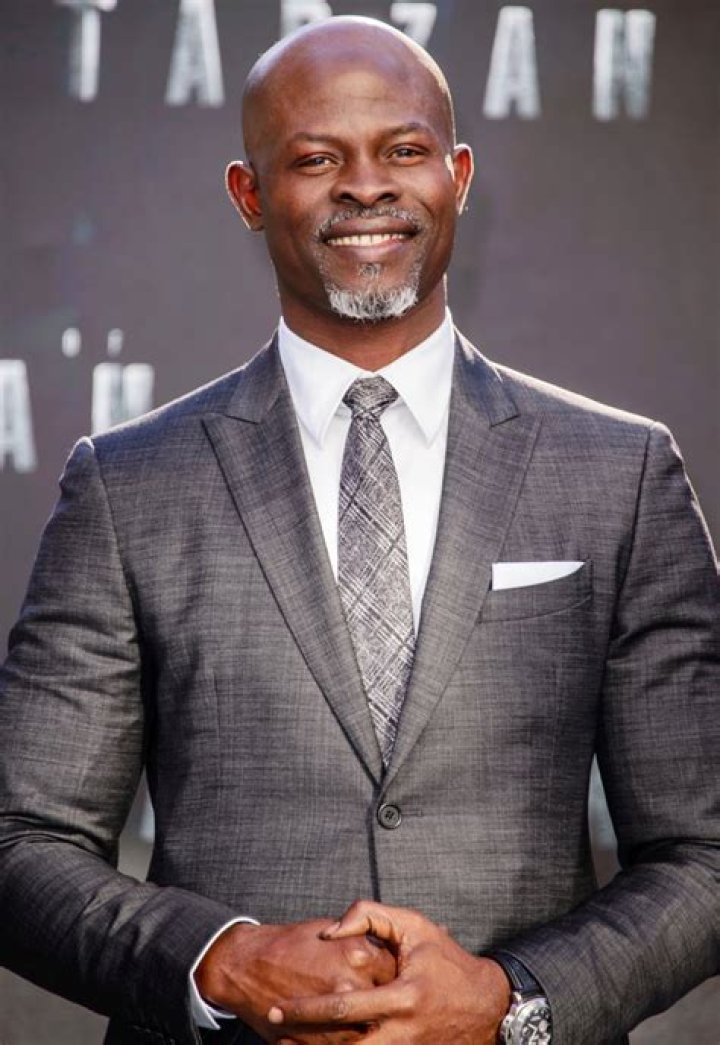 Djimon Hounsou: The Journey Of A Multi-Talented Star