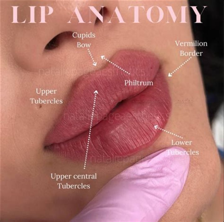 Do lips have taste? - BlogInfo