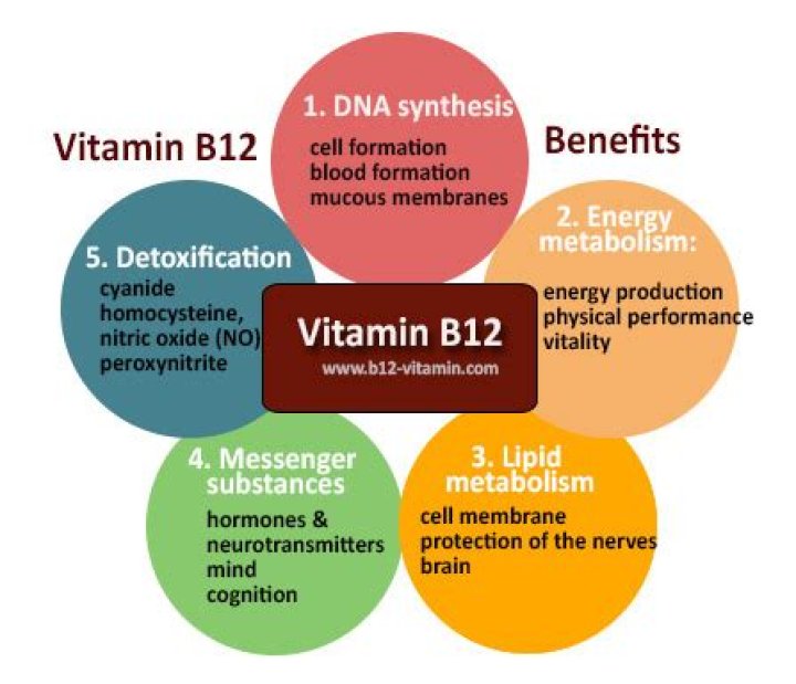Does vitamin B12 help with MS?