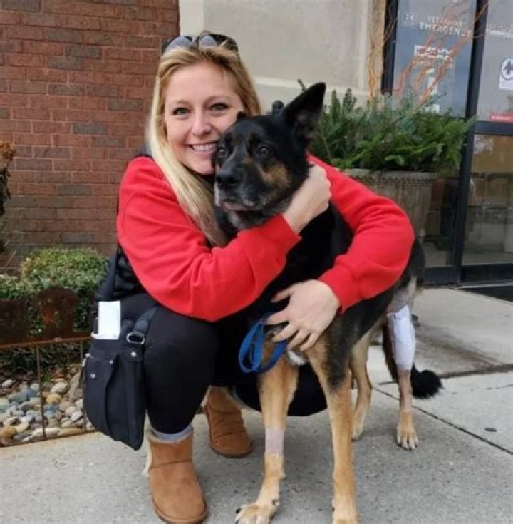 Unveiling The Inspiring Journey Of Dr. Nicole Arcy, DVM, And Her Husband In Veterinary Medicine