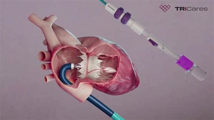 Understanding EFS Cares: A Comprehensive Guide To Ethical And Sustainable Fashion