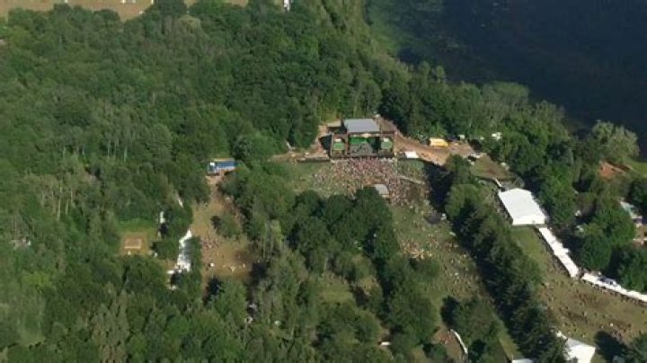 Aerial Explorations Of The Enchanting Electric Forest