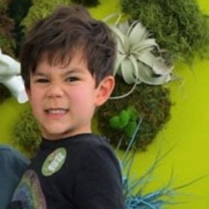 Eli James Lo Truglio- Meet Son Of Stars Joe Lo Truglio and Beth Dover ·