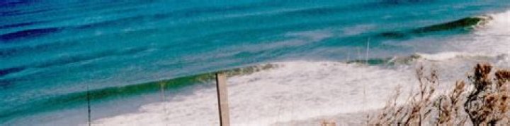 The Definitive Guide To Ellena Erskine: Unlocking Acting Success