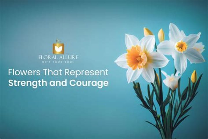 Discover The Symbolism Of Courage