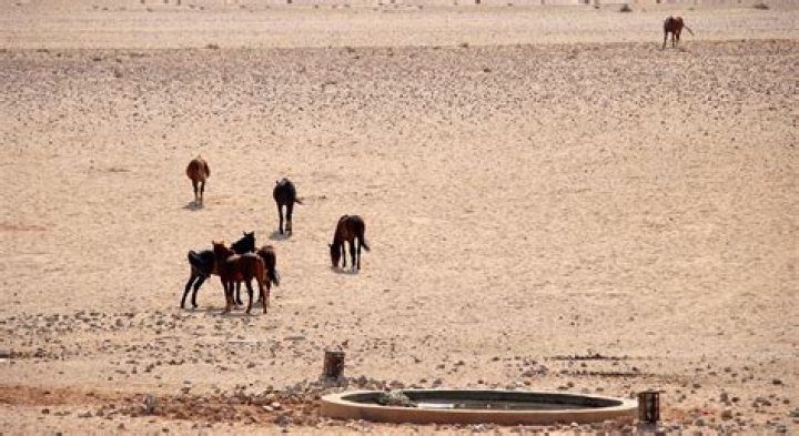 Unlocking The Secrets Of Garub: A Comprehensive Guide