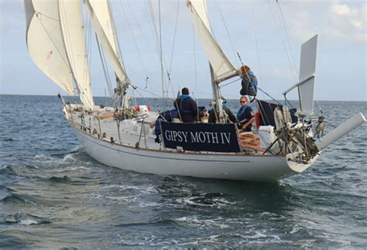 Ultimate Guide To Gipsy Moth IV: Identification, Prevention, And Control