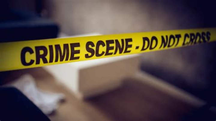 Glenn Sandler: Uncovering Truth, Shaping Justice