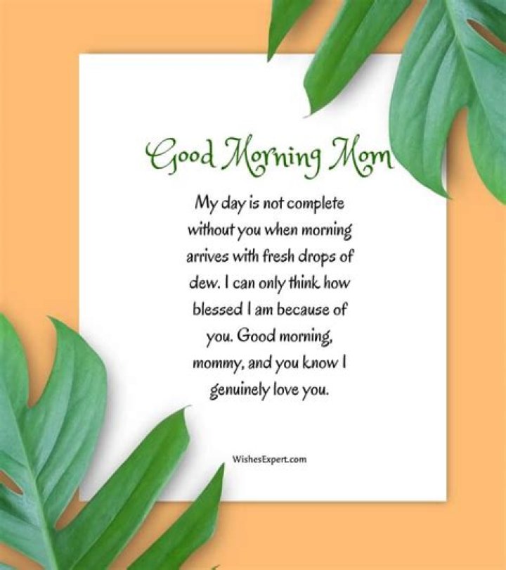 Discover The Transformative Power Of "Good Morning, Mommy"