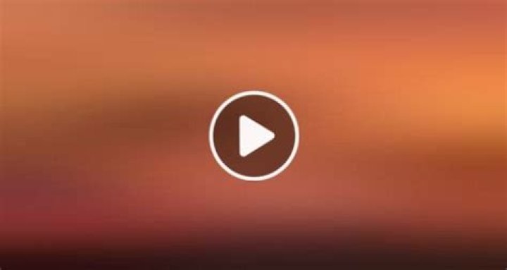 Unbridled Joy: The Fascinating World Of Horse Video Twitter