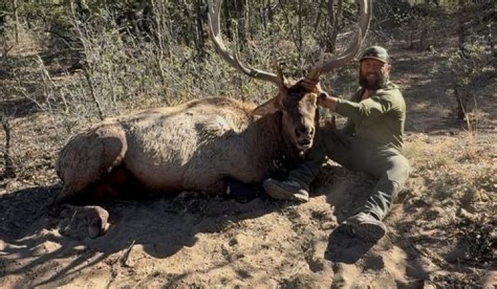 The Secrets Of Mountain Lion Hunting