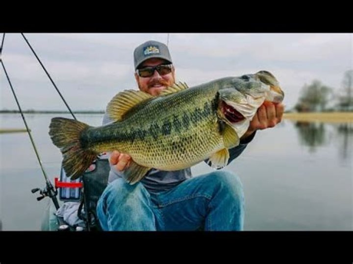How old is a 10lb bass?