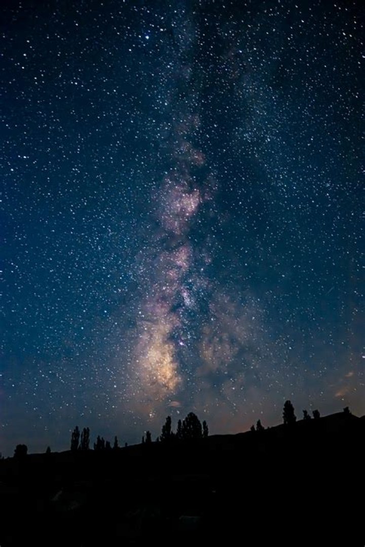 Eye-Catching Photos Of Impressive Bulges