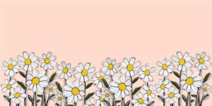 Alive And Kicking! Uncover The Truth