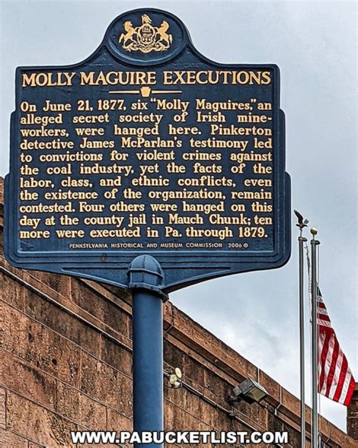 Is Molly Moblitt Incarcerated? - An Examination Of The Case