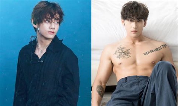 Unveiling The Significance And Impact Of "is V Gay"