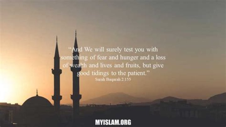 Discover Profound Islamic Wisdom: Patience Unveiled
