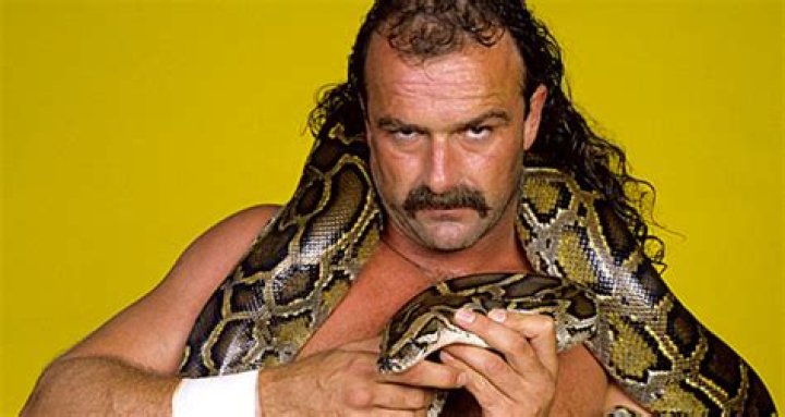 Unveiling Jake "The Snake" Roberts' Net Worth: Discover His Financial Enigma