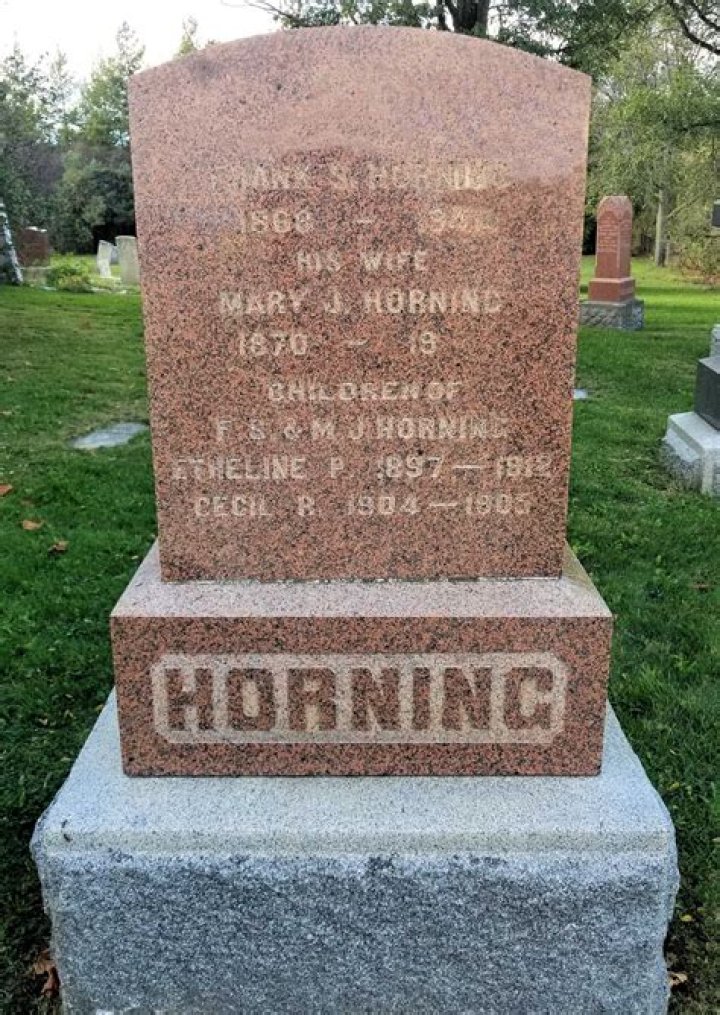 Discover Jane Horning's Expertise And Impact