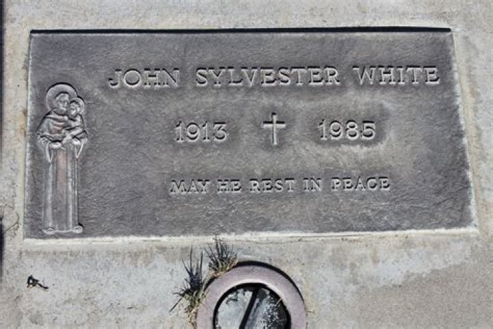 Exploring The Life And Legacy Of John Sylvester White