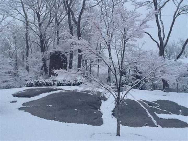 Discover The Serene Tranquility Of Juniper Hill Cemetery