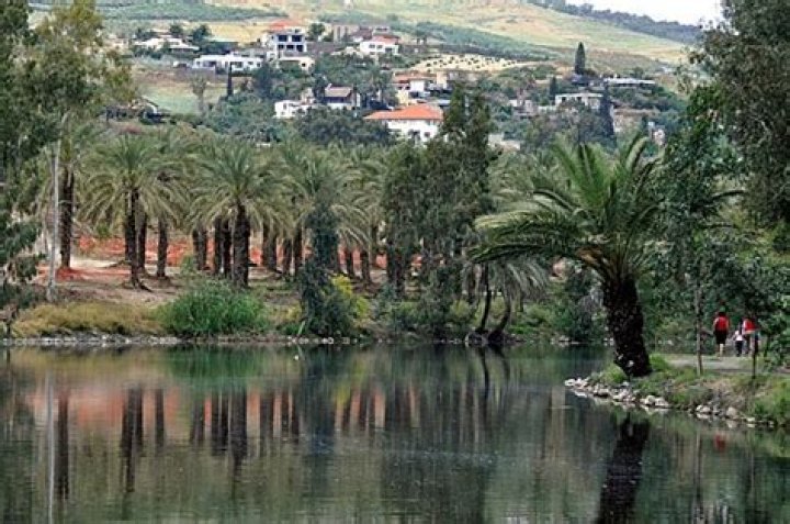Discover Kibbutz Kinneret: A Vibrant Oasis In The Heart Of Israel