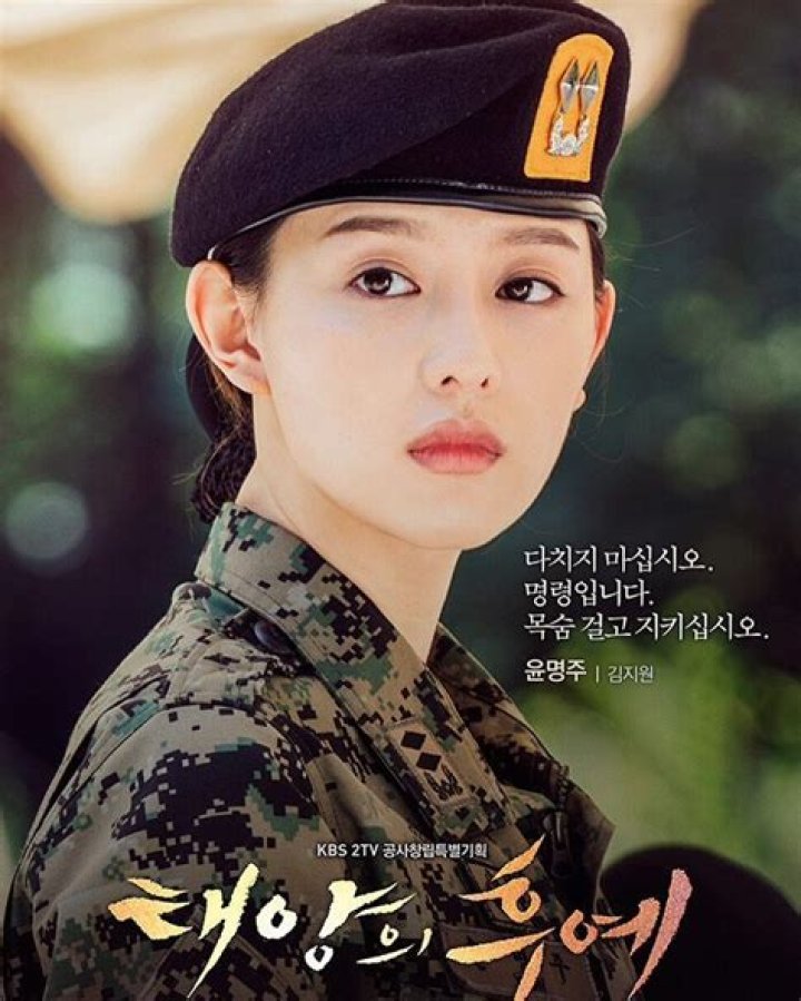 Stellar Performance: Kim Ji-won's Role In Descendants Of The Sun