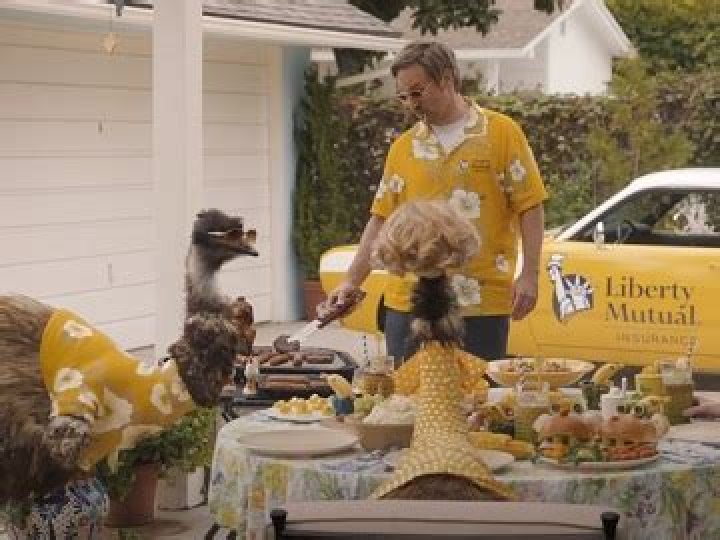Dive Into The World Of "Liberty Mutual Emu Wife"