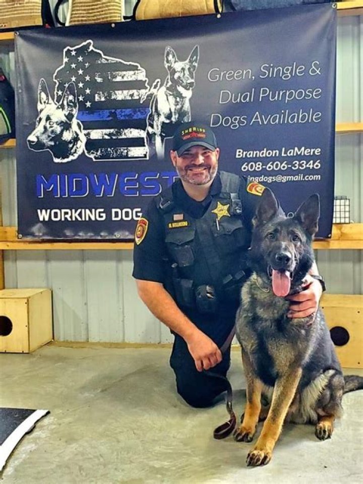 Mark Bellacero: Your Trusted Financial Expert