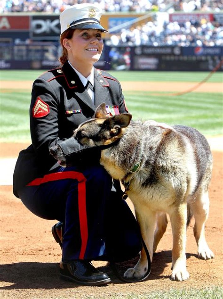 Megan Leavey And Her Husband: A Journey Of Love And Valor