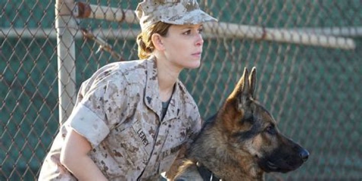 Megan Leavey: A Journey Of Love, Courage, And Motherhood