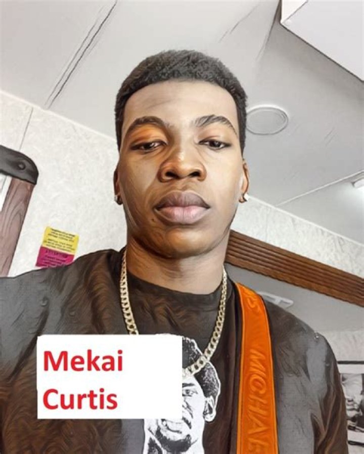 Unveiling Mekai Curtis: A Wikipedia Deep Dive