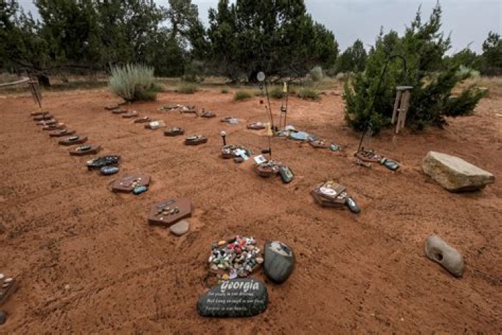 Michael Vick: A Controversial Legacy Of Dog Fighting