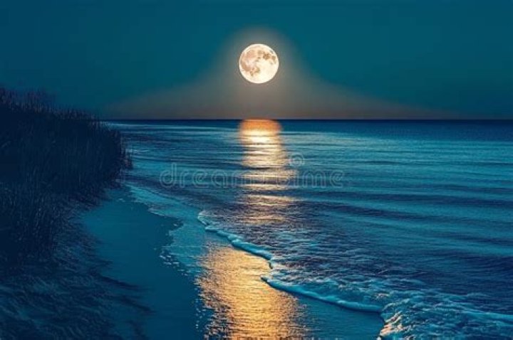 A Serene Moonlit Night: The Majestic Moon Illuminating The Vast Sea