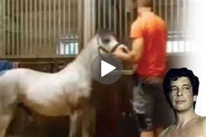 Unraveling The Mystery Of Mr. Hands: A Tale Of Controversy And Curiosity