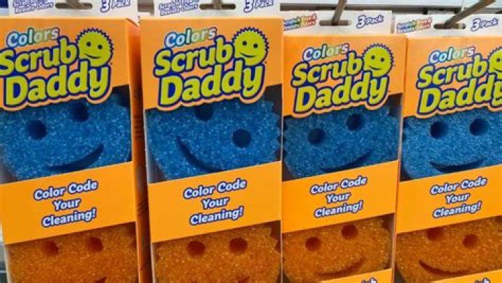 Exploring Scrub Daddy's Remarkable Net Worth