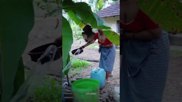 Nila Nambiar Leaked Videos: Uncover The Untold Truths