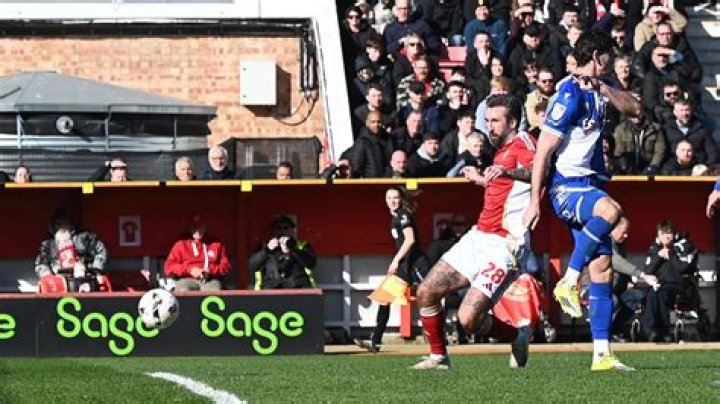 Unveiling The Life And Journey Of Ollie Palmer